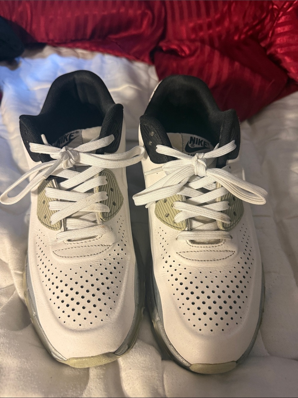 Nike Air Max Sneakers